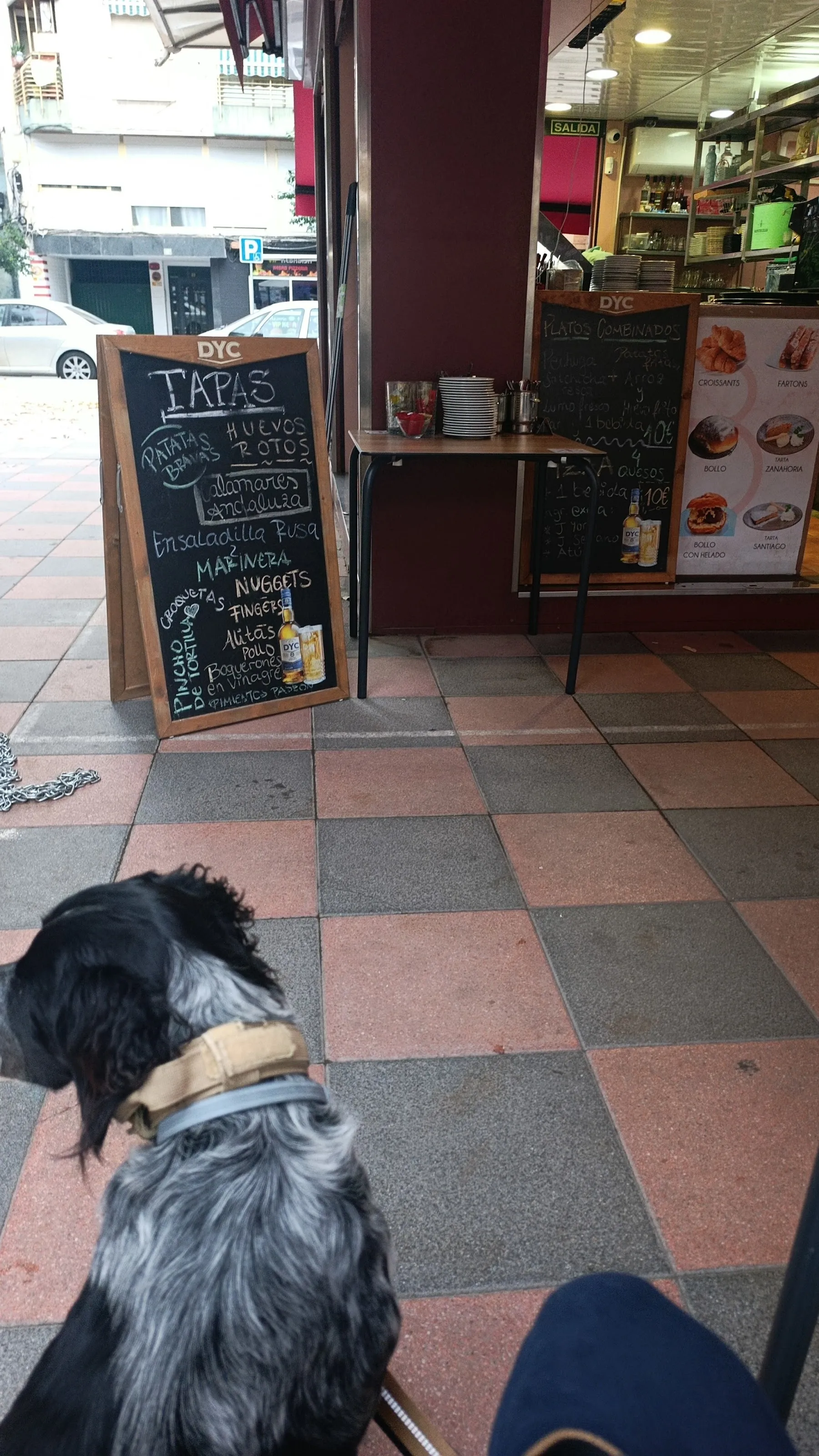 Un perro sentado en las losas rosas y grises de la plaza, frente a la pizarra de tapas del quiosco